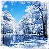 Едік Нетребко фотография #6 (источник - https://vk.com/id140488731)