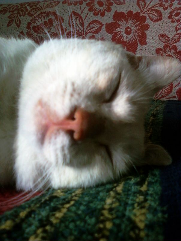 Yulia Osipenko фотография #26