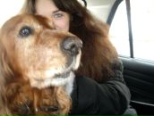 Фотография Витовщик Александры