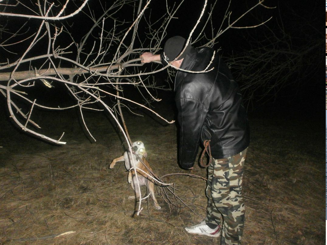 Роман Василенко фотография #38