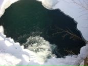 Лєна Пєвнік фотография #12 (источник - https://vk.com/id12576139)