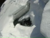 Лєна Пєвнік фотография #25 (источник - https://vk.com/id12576139)