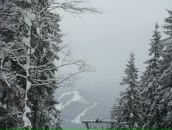 Лєна Пєвнік фотография #43 (источник - https://vk.com/id12576139)