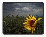 Іра Винник фотография #22 (источник - https://vk.com/id120221324)