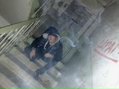 Александр Даровских фотография #37 (источник - https://vk.com/id108975974)