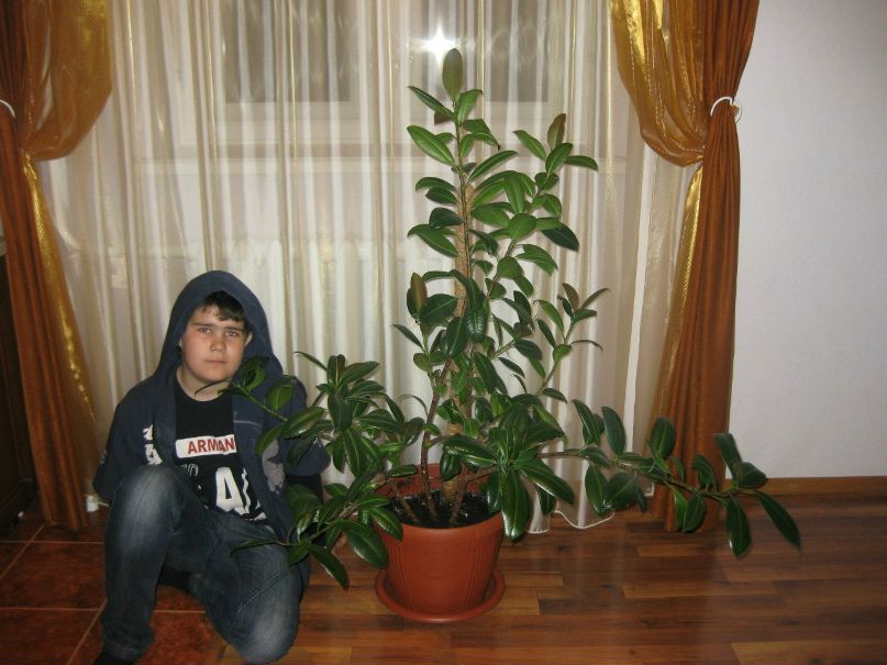 Дмитрий Сергеев фотография #38