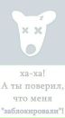 Сергій Драч фотография #13 (источник - https://vk.com/id181447954)