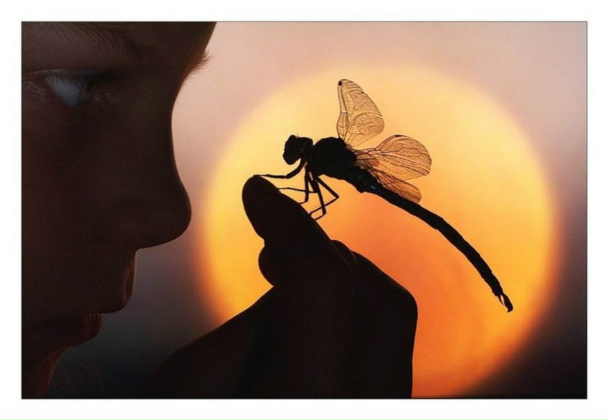 Дмитрий Гриценко фото №30