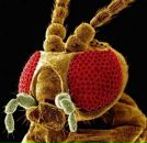 Фотография Шанина Александра