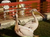 Фотография Гармашова Геннадия