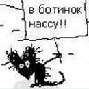 Фотография Лаптева Ильи