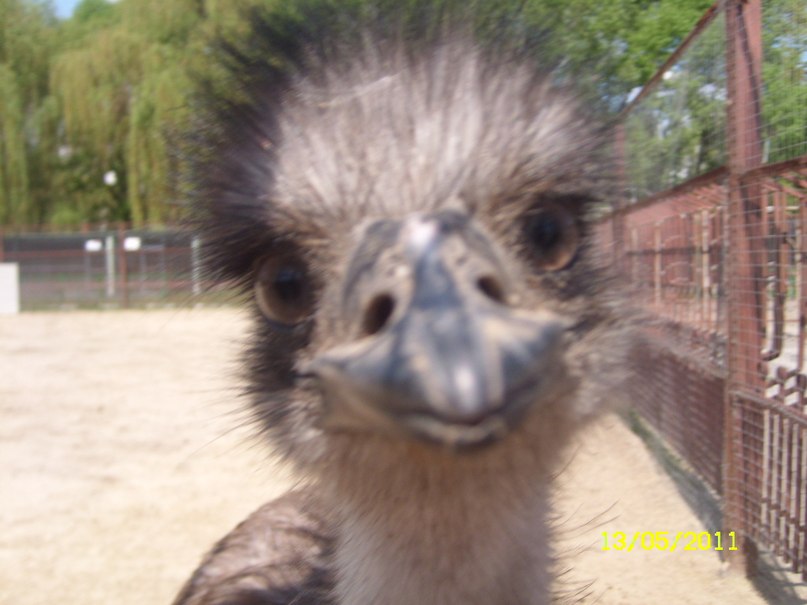 Игорь Городов фотография #5