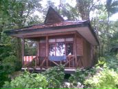 Дмитрий Григоренко фотография #11 (источник - https://vk.com/id1654123)