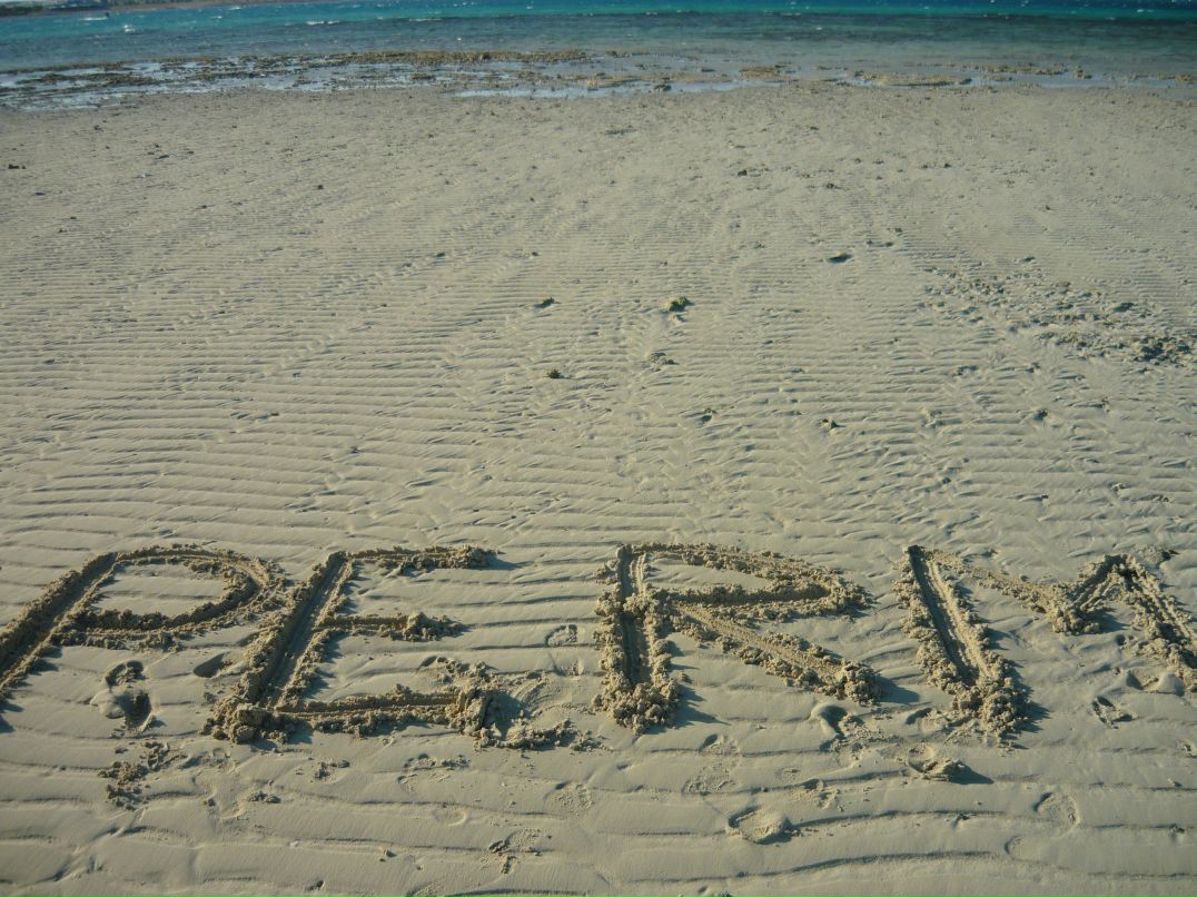 Андрей Савельев фотография #25