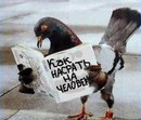 Олег Малішевський фотография #32 (источник - https://vk.com/id164613847)