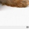 Аня Костів фотография #16 (источник - https://vk.com/id139363454)