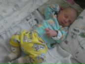 Фотография Evgenevna Elena