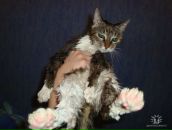 Фотография Юсуповой Лейлы