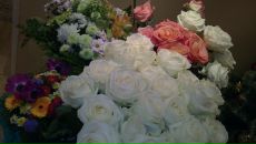 Фотография Медведевой Елены