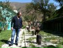 Mehmet Erdogan фотография #23 (источник - https://vk.com/id163626929)