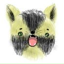 Фотография Валерьевича Владислава