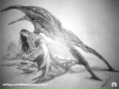 Sedat Süner фотография #10 (источник - https://vk.com/id118655973)