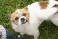 Фотография Сергеевны Юлии