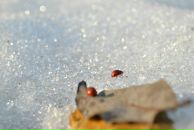 Віктор Боричевський фотография #4 (источник - https://vk.com/id13973669)