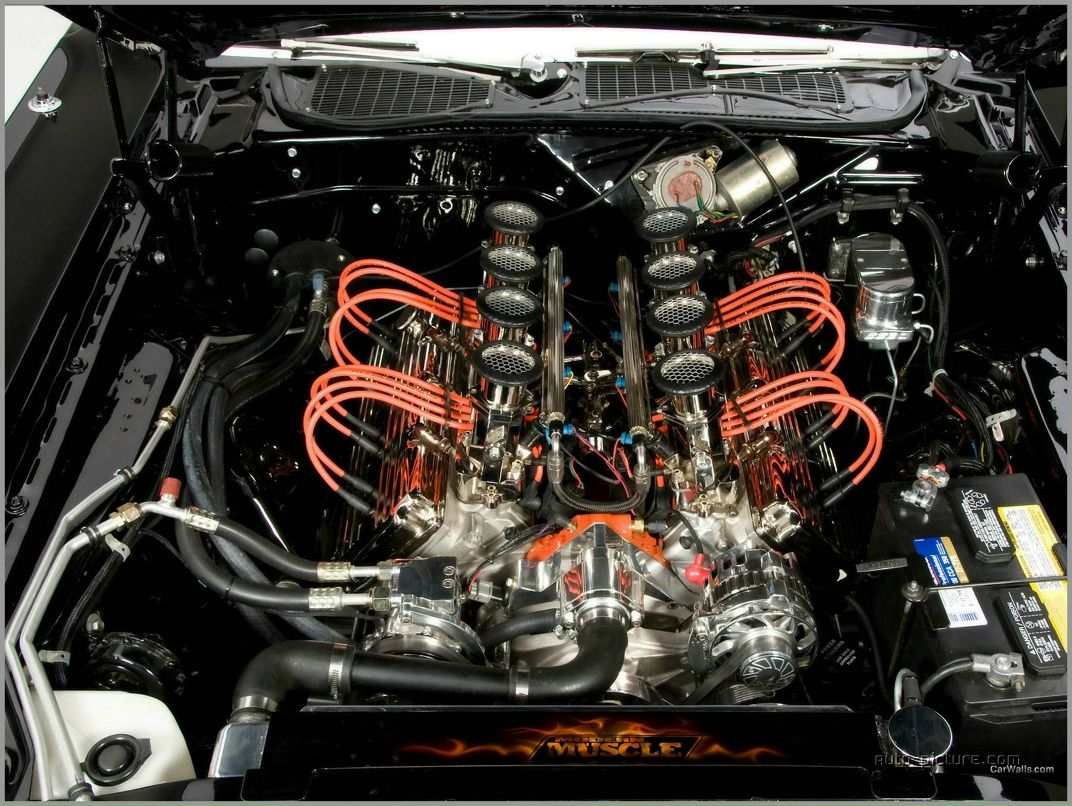 Сергей Манжос фотография #11