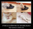 Микола Яковлєв фотография #45 (источник - https://vk.com/id46423071)