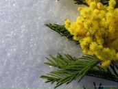 Фотография Кирюшиной Лидии