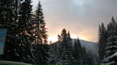 Рома Стасік фотография #8 (источник - https://vk.com/id56516916)