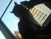 Фотография Испольнова Дениса