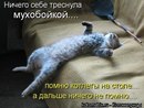 Сашко Федінчик фотография #33 (источник - https://vk.com/id167928114)