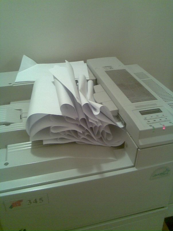 Антон Орлов фотография #18