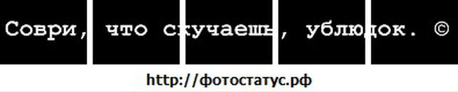 Віта Беляева фотография #37 (источник - https://vk.com/id57456899)