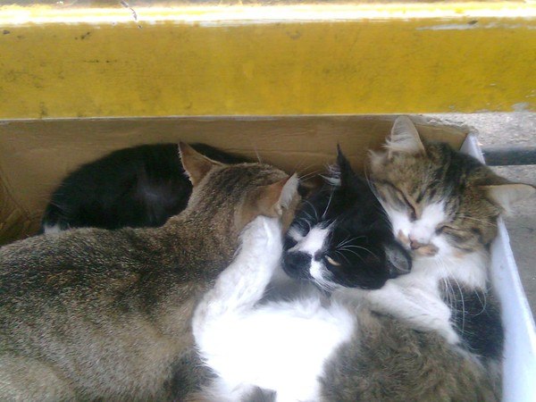 №20, Виктория Мозговая №20, Виктория Мозговая