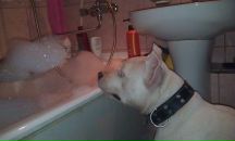 Фотография Волковой Юлии