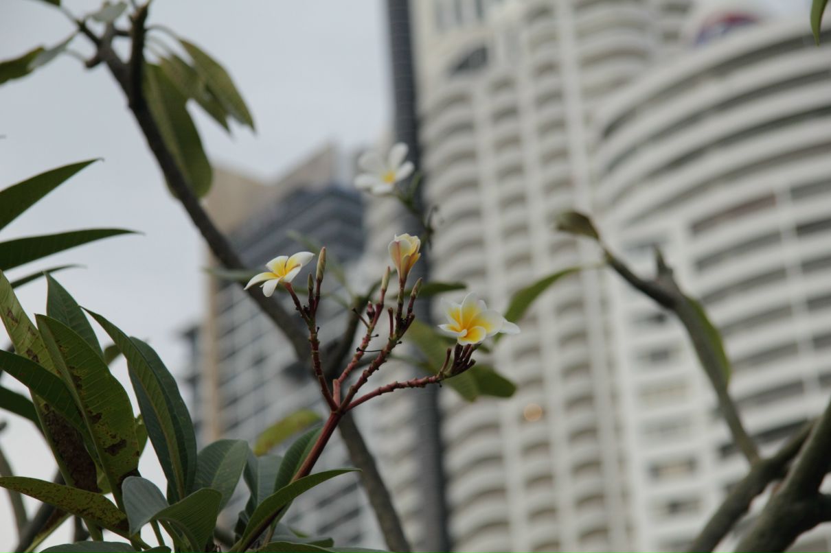 Дмитрий Симонов фотография #10