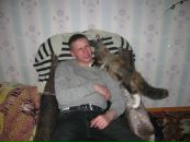 Фотография Осипова Максима