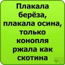 Сергій Туз фотография #9 (источник - https://vk.com/id41612767)