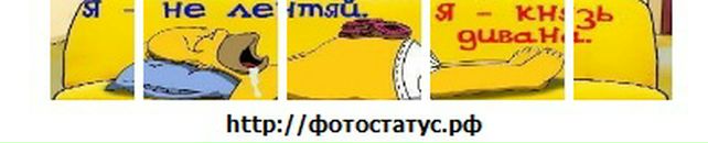 Роман Орловский фотография #17 (источник - https://vk.com/id2771360)