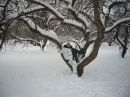 Фотография Носовой Ольги