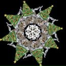 Фотография Скайвокера Anikin