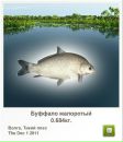 Коля Крижанівський фотография #16 (источник - https://vk.com/id126697297)