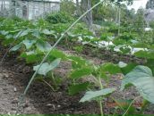 Фотография Антиповой Лёли