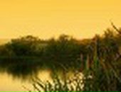 Олеся Матвійчук фотография #8 (источник - https://vk.com/id50923906)