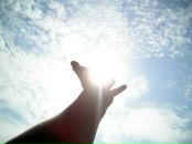 Фотография Стрельниковой Александры