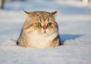 Фотография Феоктистова Ивана