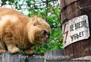 Вова Федінчик фотография #38 (источник - https://vk.com/id167941918)